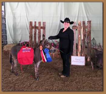 Rodeo Center Ranch presents - Hill Country Miniatures Olympia